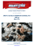 Mare Più MISTO SCOGLIO PREMIUM CONGELATO 1000 gr