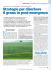 Strategie per diserbare il grano in post-emergenza