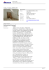 Salva in PDF