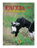 disponibile - comprensorio alpino valle brembana