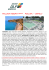 POLLINA RESORT 4**** POLLINA – CEFALU`