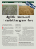 AgriBlu centrosud i risultati su grano duro