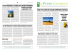 Il Punto Coldiretti 32 2012_Layout 1