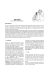 EPILESSIA - Clinica Veterinaria Legnone