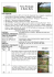 scarica il pdf