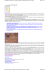 Page 2 of 3 AZONZO IN EGITTO « Il blog su Sharm el Sheikh, Mar