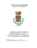 regolamento cittadinanza onoraria