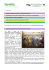 Newsletter - ambiente.marche.it