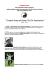 " Original Internal Power Tai Chi Association"