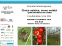 Presentazione standard di PowerPoint