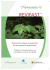 Revifast TM