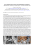 dalle misure laser scanning e fotogrammetriche al modello