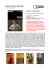 Cofanetto Maciste. L`uomo forte