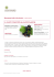 Benessere delle Articolazioni – Flacone 150 ml IL