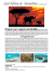 Scarica il documento PDF