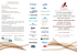 Scarica il programma - Eve-lab