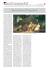 pdf - Fondazione Internazionale Menarini