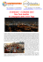 Programma dettagliato New York Yoga