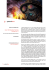 scarica l`articolo in formato pdf