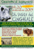 settembre 2015 Cassinetta di Lugagnano