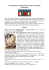 Programma - Comune di Milano