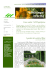 VerDiSegninforma 3 2008
