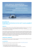 master in logiche e tecniche di project management