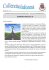 Colleretto Informa N° 13 - Comune di Colleretto Giacosa