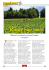 Scarica l`articolo in PDF