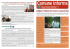 Numero Novembre 2013 - Comune di Castiglione dei Pepoli