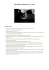 Alain PIRON, Osteopata D.O. – Belgio