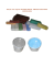 SOLID and LIQUID ANTIBACTERIAL ABRASIVE BUFFING