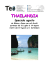 thailandia - Teo Viaggi