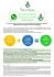 canale whatsapp - Comune di Lentini