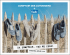 DA coMPToIR, yES wE kEDS!
