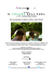 Il colore dell`erba, pressbook