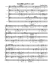 Finale 2004 - [Schuyt-Candide perle e care]