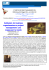 Kabbalah, tra business organizzazione e project management: una