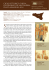 Itinerari culturali del medioevo siciliano
