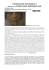 videoarte invisible 9 rough cut firouzeh khosrovani