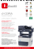 scarica pdf