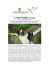 LAOS NORD Trekking - I Viaggi di Maurizio Levi