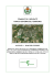NORMATIVA PGT COMMERCIO 09