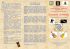 concerto-natale-2015_brochure