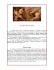 Musico Spirto - Museo di Capodimonte