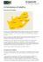 Un`introduzione al Sudafrica