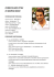 curriculum vitae di marco bassi
