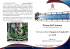 programmazione completa