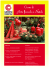 arte floreale a natale - Centro Creativo Casentino