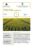 SCIENZE AGRARIE E AMBIENTALI